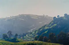 Warwick Fuller, Morning Sun, Kanimbla Valley, 1989, Oil on Canvas