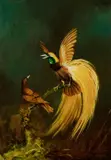 Blake Twigden, Bird of Paradise, Oil on Board