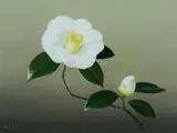 Paul Jones, Camellias