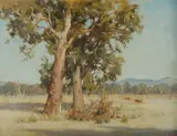Charles Wheeler, Gum Trees