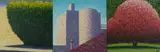 Deborah Russell, Untitled Triptych, Oil on Board