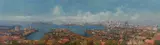 James Wynne, Panoramic Sydney, Oil on Canvas on Board
