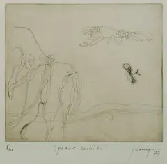 Spider Orchids by Robert Juniper, 1977, Etching 5/10, sold Mar 2020