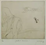 Robert Juniper, Spider Orchids