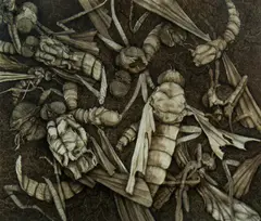 Nicholas Blowers, Insect Garden II, Oil on Paper