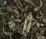 Nicholas Blowers, Insect Garden II, Oil on Paper