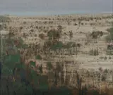 Clem Millward, Outback Landscape, 1976, Oil on Canvas on Board