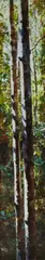 A. J. Taylor, Paynter Creek No. 41, 2006, Oil over Acrylic on Board