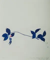 David Rose, Camellia - Study for Vase in Cobalt, 1980, Aquatint 17/50