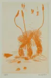 Clifton Pugh, Xanthorrhoea, Aquatint 18/75