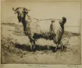 Sydney Long, William of Wyndham, Etching 2/60