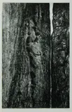 Henry Moore, Cleft of Light,' 1973, plate 10 from the, Lithograph A/P vi/xxv