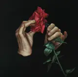 James Guppy, Plucking the Rose, 2009, Acrylic on Linen