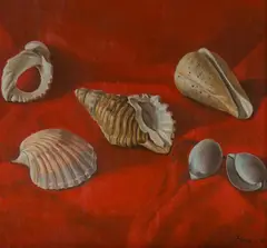 Six Shells on Red by Francis Giacco, 1990, Oil on Board, sold Nov 2019