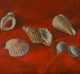 Francis Giacco, Six Shells on Red, 1990, Oil on Board