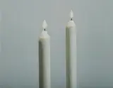 Zai Kuang, Two Candles, 2007, Oil on Canvas