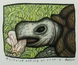 Reg Mombassa, Tortoise eating an orchid, 2010, Charcoal, Coloured Pencil on Paper