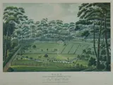 Joseph Lycett, Raby, the Property of Alexander Riley, Esq. New South Wales, Aquatint