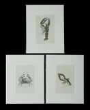 Thomas Pennant, 3 Etchings from 'British Zoology.' Pub. 1776. Plate III (19x12cm), Plate X (119x12cm) & Plate XIV (17x11cm)