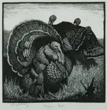 Heysen's Birds by Lionel Lindsay, Woodcut, sold Sep 2019