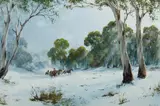 Kevin Best, Wild Ones & Nature