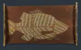 George Djaykurrnga, Barramundi (Namarnkol)' Original Oenpelli paper label verso cat CMS GG3, Natural Earth Pigments on Bark