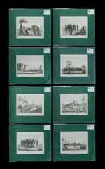 Thomas Watling, (8), Copper Engraving (8)