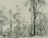 Douglas Pratt, Pittwater near Palm Beach, Sydney