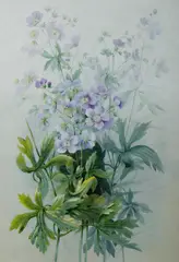Geranium Maculatum by Ellis Rowan, Gouache, sold Jul 2019