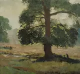 Lance Solomon, Picnic in the Shade