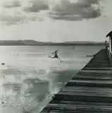 Max Dupain, Untitled - Jetty & Heron