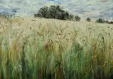 Tessa Perceval, Barley Field and Approaching Storm, 1980, Oil on Canvas
