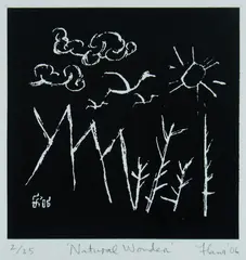 Fane Flaws, Natural Wonder, 2006, Linocut 2/25