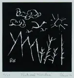 Fane Flaws, Natural Wonder, 2006, Linocut 2/25