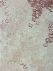 Emily Kame Kngwarreye, Wildflower Dreaming, 1995. Signed 'Emily' in pencil verso; cat #DG03084; various labels incl. Gallery Savah, Paddington, Acrylic on Canvas