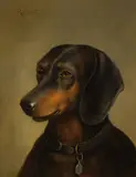 Carl Reichert, Dachshund