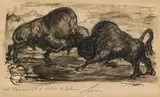 Alfred Kubin, Two bisons, India ink washed on paper; framed