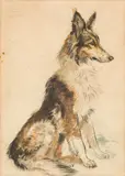 Collie by Ludwig Heinrich Jungnickel, mixed media on paper; framed, sold Jun 2023
