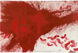 Hermann Nitsch, Bulk picture
