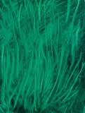 Herbert Brandl, Untitled, 2007, oil on canvas; unframed