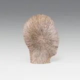 Alfred Haberpointner, Kopf K-ITIP