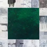 Richard Kaplenig, Buenos Aires, 2009, oil, collage on canvas; unframed