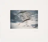 Arnulf Rainer, Untitled, colour etching; unframed