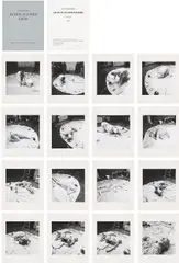 Günter Brus, Folder: Aktion in einem Kreis, 1966, 16 photographs in original linen case; edition 14/35
