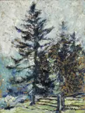 Wilhelm Nicolaus Prachensky, Firs