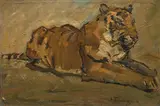 Carl Fahringer, Tiger