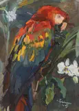 Carl Fahringer, Parrot