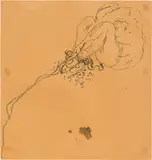 Günter Brus, Untitled