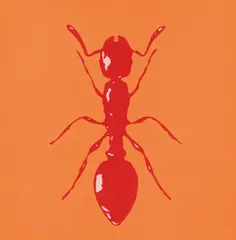 Peter Kogler, Ameise, screen print on canvas; unframed