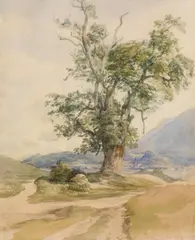 Joseph Höger, Landscape with old tree, in the background view of Gaisberg and Großgmain, watercolour on paper